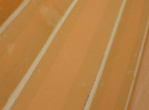 joint