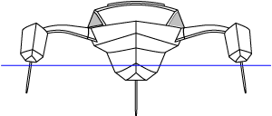 scarab 16