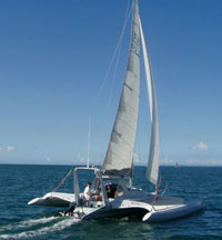 Avalon 9