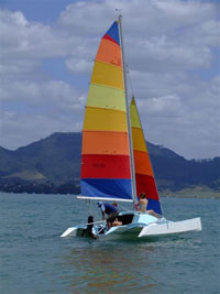 Scarab 16