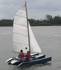 Scarab 350